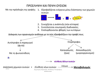 ΠΡΟΣΛΗΨΗ ΚΑΙ ΠΕΨΗ ΟΥΣΙΩΝ
 Με την πρόσληψη της τροφής: 1. Εξασφαλίζεται ενέργεια μέσω διάσπασης των χημικών
                                ουσιών



                                 2. Συνεχίζεται η ανάπτυξη (νέα κύτταρα)
                                 3. Συντελούνται εσωτερικές διαδικασίες
                                 4. Επιδιορθώνονται φθορές των κυττάρων
     Διάκριση των οργανισμών ανάλογα με το πώς εξασφαλίζουν την τροφή τους


    Αυτότροφοι ή παραγωγοί                                            Ετερότροφοι
            (φυτά)
                                                               Καταναλωτές    Αποικοδομητές
         Με τη φωτοσύνθεση                                        (ζώα)       (μικροοργανισμοί)

    Π
                                                       σύνθεση άλλων ουσιών

                                                                 ένζυμα
Διάσπαση χημικών ουσιών +    Σύνθεση νέων ουσιών                             Μεταβολισμός
  2012                       Δημήτρης Καρατζάς, Βιολόγος-Υποψήφιος
                                          Διδάκτορας
 