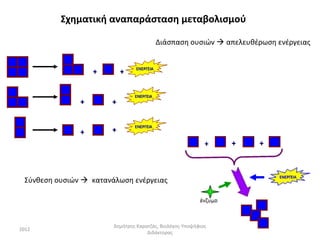 Σχηματική αναπαράσταση μεταβολισμού

                                           Διάσπαση ουσιών  απελευθέρωση ενέργειας


                                ΕΝΕΡΓΕΙΑ
                   +       +

                                ΕΝΕΡΓΕΙΑ
               +       +

                                ΕΝΕΡΓΕΙΑ
               +       +




 Σύνθεση ουσιών  κατανάλωση ενέργειας




                        Δημήτρης Καρατζάς, Βιολόγος-Υποψήφιος
2012
                                     Διδάκτορας
 