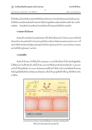โรงเรียนมหิดลวิทยานุสรณ์ (องค์การมหาชน)                                              สาขาวิชาชีววิทยา
                                                    75
เอกสารประกอบการสอนรายวิชา ว 40143 ชีววิทยา3                                           บทที่ 3 ระบบการย่อยอาหาร


ทั้งทริปซินและไคโมทริปซินจะย่อยโปรตีนให้เป็นเพปไทด์ ส่วนคาร์บอกซิเพปทิเดสจะย่อยโปรตีนและเพป
ไทด์ให้เป็นกรดอะมิโนเซลล์ผนังด้านในของลาไส้เล็กส่วนดูโอดินัมจะผลิตเอนไซม์หลายชนิด ได้แก่ อะมิโน
เพปซิเดส ไดเพปซิเดส ไตรเพปซิเดส โดยเอนไซม์เหล่านี้จะย่อยเพปไทด์ให้เป็นกรดอะมิโน

         การย่อยคาร์โบไฮเดรต

        ตับอ่อนสร้างเอนไซม์อะไมเลสแล้วส่งต่อมาที่ลาไส้เล็กเพื่ อย่อยแป้ง ไกลโคเจนและเดกซ์ทรินให้
เป็น มอลโทส ส่วนเซลล์ผนังด้านในของส่วนดูโอดินัมจะผลิตเอนไซม์มอลเทสย่ อยมอลโทส นอกจากนี้
ผนังลาไส้เ ล็ก ยังผลิต เอนไซม์ซูเ ครสย่ อยซูโครสให้เ ป็ น กลูโคสและฟรัก โทส และเอนไซม์แลกเทสย่ อย
แลกโทสให้เป็นกลูโคสและกาแลกโทส

         การย่อยลิพิด

          ตับสร้างน้าดี (Bile) เก็บไว้ที่ถุงน้าดี (Gallblader) จากถุงน้าดีจะมีท่อนาน้าดีมาเปิดเข้าสู่ดูโอดินัม
น้าดีมีส่วนประกอบที่สาคัญ คือ เกลือน้าดี (Bile salt) ช่วยให้ไขมันแตกตัวเป็นหยดไขมันเล็ก ๆ และแทรก
รวมกับน้าได้ในรูปอิมัลชัน (Emulsion) ตับอ่อนและเซลล์ที่ผนังลาไส้เล็กจะสร้างเอนไซม์ลิเพส ซึ่งจะย่อย
ไขมันในรูปอิมัลชันให้เป็นกรดไขมันและกลีเซอรอล เกลือน้าดีจะถูกดูดซึมที่ลาไส้ใหญ่ เพื่อให้ตับนากลับ
มาใช้ใหม่




                         ภาพที่ 2.31 การย่อยลิพิด


                   เอกสารประกอบการเรียนการสอนฉบับนี้ยังอยู่ระหว่างดาเนินการปรับปรุงแก้ไข
                                ใช้สาหรับโรงเรียนมหิดลวิทยานุสรณ์เท่านั้น
 
