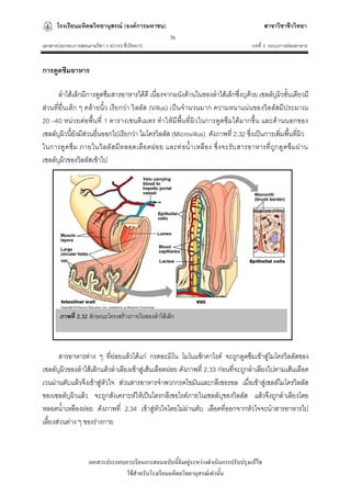 โรงเรียนมหิดลวิทยานุสรณ์ (องค์การมหาชน)                                              สาขาวิชาชีววิทยา
                                                   76
เอกสารประกอบการสอนรายวิชา ว 40143 ชีววิทยา3                                         บทที่ 3 ระบบการย่อยอาหาร


การดูดซึมอาหาร

       ลาไส้เล็กมีการดูดซึมสารอาหารได้ดี เนื่องจากผนังด้านในของลาไส้เล็กซึ่งบุด้วย เซลล์บุผิวชั้นเดียวมี
ส่วนที่ยื่น เล็ก ๆ คล้ายนิ้ว เรียกว่า วิลลัส (Villus) เป็น จานวนมาก ความหนาแน่นของวิลลัสมีประมาณ
20 –40 หน่วยต่อพื้น ที่ 1 ตารางเซนติเ มตร ทาให้มีพื้น ที่ผิวในการดูดซึมได้มากขึ้น และด้านนอกของ
เซลล์บุผิวนี้ยังมีส่วนยื่นออกไปเรียกว่า ไมโครวิลลัส (Microvillus) ดังภาพที่ 2.32 ซึ่งเป็นการเพิ่มพื้นที่ผิว
ในการดู ดซึม ภายในวิลลั สมีห ลอดเลือ ดฝอย และท่ อน้าเหลื อง ซึ่งจะรับ สารอาหารที่ ถู ก ดู ดซึม ผ่า น
เซลล์บุผิวของวิลลัสเข้าไป




       ภาพที่ 2.32 ลักษณะโครงสร้างภายในของลาไส้เล็ก



       สารอาหารต่าง ๆ ที่ย่อยแล้วได้แก่ กรดอะมิโน โมโนแซ็กคาไรด์ จะถูกดูดซึมเข้าสู่ไมโครวิลลัสของ
เซลล์บุผิวของลาไส้เล็กแล้วลาเลียงเข้าสู่เส้นเลือดฝอย ดังภาพที่ 2.33 ก่อนที่จะถูกลาเลียงไปตามเส้นเลือด
เวนผ่านตับแล้วจึงเข้าสู่หัวใจ ส่วนสารอาหารจาพวกกรดไขมันและกลีเซอรอล เมื่อเข้าสู่เซลล์ไมโครวิลลัส
ของเซลล์บุผิวแล้ว จะถูกสังเคราะห์ให้เป็นไตรกลีเซอไรด์ภายในเซลล์บุของวิลลัส แล้วจึงถูกลาเลียงโดย
หลอดน้าเหลืองฝอย ดังภาพที่ 2.34 เข้าสู่หัวใจโดยไม่ผ่านตับ เลือดที่ออกจากหัวใจจะนาสารอาหารไป
เลี้ยงส่วนต่าง ๆ ของร่างกาย



                   เอกสารประกอบการเรียนการสอนฉบับนี้ยังอยู่ระหว่างดาเนินการปรับปรุงแก้ไข
                                ใช้สาหรับโรงเรียนมหิดลวิทยานุสรณ์เท่านั้น
 
