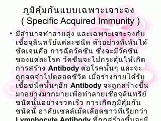 ภูม ิค ุ้ม กัน แบบเฉพาะเจาะจง
    ( Specific Acquired Immunity )
• มีอ ำา นาจทำา ลายสูง และเฉพาะเจาะจงกับ
  เชือ จุล ิน ทรีย ์แ ต่ล ะชนิด ตัว อย่า งที่เ ห็น ได้
     ้
  ชัด เจนคือ การฉีด วัค ซีน ซึ่ง จะมีว ัค ซีน
  ของแต่ล ะโรค วัค ซีน จะไปกระตุน ให้เ กิด้
  การสร้า ง Antibody ต่อ โรคนัน ๆ และจะ
                                     ้
  ถูก จดจำา ไปตลอดชีว ิต เมือ ร่า งกายได้ร ับ
                                 ่
  เชือ ชนิด นัน ๆอีก Antibody จะถูก สร้า งขึ้น
       ้       ้
  มาอย่า งมากมายเพื่อ ทำา ลายเชือ จุล ิน ทรีย ์
                                        ้
  ชนิด นัน อย่า งรวดเร็ว การเกิด ภูม ิค ม กัน
          ้                                   ุ้
  ชนิด นี้ อาศัย เซลล์เ ม็ด เลือ ดขาวที่เ รีย กว่า
 