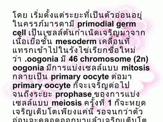โดย เริ่ม ตั้ง แต่ร ะยะที่เ ป็น ตัว อ่อ นอยู่
ในครรภ์ม ารดามี primodial germ
cell เป็น เซลล์ต ้น กำา เนิด เจริญ มาจาก
เนื้อ เยือ ชั้น mesoderm เคลื่อ นที่
         ่
แทรกเข้า ไปในรัง ไข่เ รีย กชือ ใหม่่
ว่า .oogonia มี 46 chromosome (2n)
oogonia มีก ารแบ่ง เซลล์แ บบ mitosis
กลายเป็น primary oocyte ต่อ มา
primary oocyte ก็จ ะเจริญ ต่อ ไป
จนถึง ระยะ prophase ของการแบ่ง
เซลล์แ บบ meiosis ครั้ง ที่ 1 ก็จ ะหยุด
เจริญ เติบ โตเพีย งแค่น ี้ รอจนกว่า ตัว
 