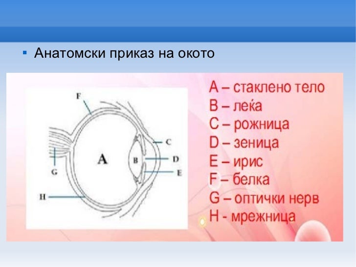 Око 3 а ос
