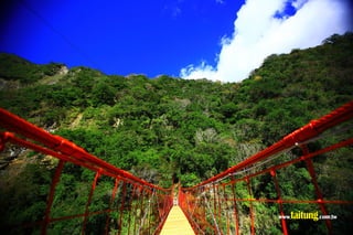 臺東縣海端鄉天龍吊橋