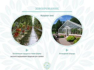 Зонирование

                                      Аграрная зона




   Органические продукты и мини-фермы                 Аптекарские огороды
заказного выращивания продукции для горожан




                                              28
 
