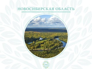 новосибирск а я обл асть




           04
 