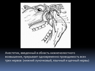 Анестетик, введенный в область нижнечелюстного
возвышения, прерывает одновременно проводимость всех
трех нервов (нижний луночковый, язычный и щечный нервы)
 