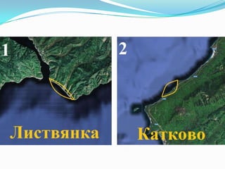 презентация АНО "ЦРЭСП" и "Сохраним Байкал"
