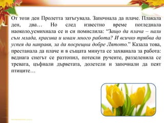 От този ден Пролетта затъгувала. Започнала да плаче. Плакала
ден,   два…     Но     след   известно   време    погледнала
наоколо,усмихнала се и си помислила: “Защо да плача – нали
съм млада, красива и имам много работа? И всичко трябва да
успея да направя, за да посрещна добре Лятото.” Казала това,
престанала да плаче и в същата минута се захванала за работа:
веднага снегът се разтопил, потeкли ручеите, раззеленила се
тревата, цъфнали дърветата, долетели и започнали да пеят
птиците…
 