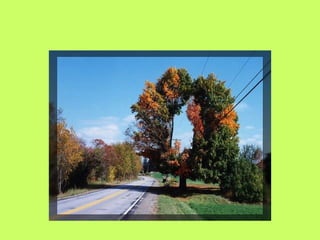 銝颲  賣瓷_隡__啁_憟_