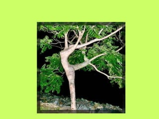 銝颲  賣瓷_隡__啁_憟_