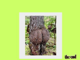 銝颲  賣瓷_隡__啁_憟_