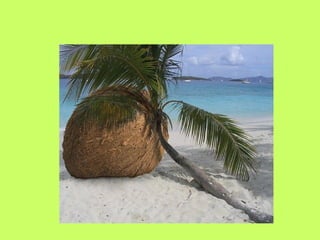 銝颲  賣瓷_隡__啁_憟_