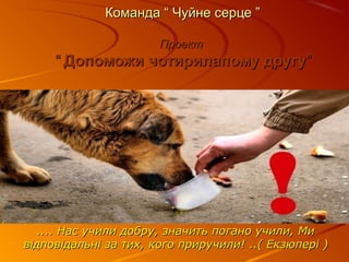 Команда “ Чуйне серце ”

                       Проект
     “ Допоможи чотирилапому другу”




   .... Нас учили добру, значить погано учили, Ми
відповідальні за тих, кого приручили! ..( Екзюпері )
 