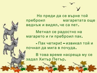Но преди да се върне той
преброил          магаретата още
веднъж и видял , че са пет .
    Метнал се радостно на
магарето и ги преброил пак .
    - Пак четири ! – извикал той и
почнал да мига в почуда .
    В това време насреща му се
задал Хитър Петър .
 