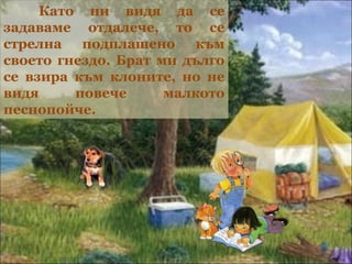 Като ни видя да се
задаваме отдалече, то се
стрелна подплашено към
своето гнездо. Брат ми дълго
се взира към клоните, но не
видя     повече      малкото
песнопойче.
 