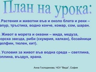 . Растения и животни във и около блата и реки –
 апур, тръстика, водно конче, комар, сом, шаран.

 . Живот в морета и океани – мида, медуза,
морска звезда, риби (скумрия, калкан), бозайници
делфин, тюлен, кит).

. Условия за живот във водна среда – светлина,
оплина, въздух, храна.

                  Анна Господинова, ЧОУ "Веда", София
 