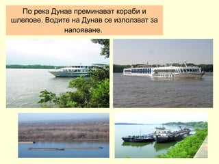 По река Дунав преминават кораби и
шлепове. Водите на Дунав се използват за
              напояване.
 