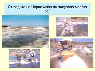 От водите на Черно море се получава морска
                   сол
 