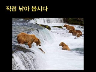 직접 낚아 봅시다
 