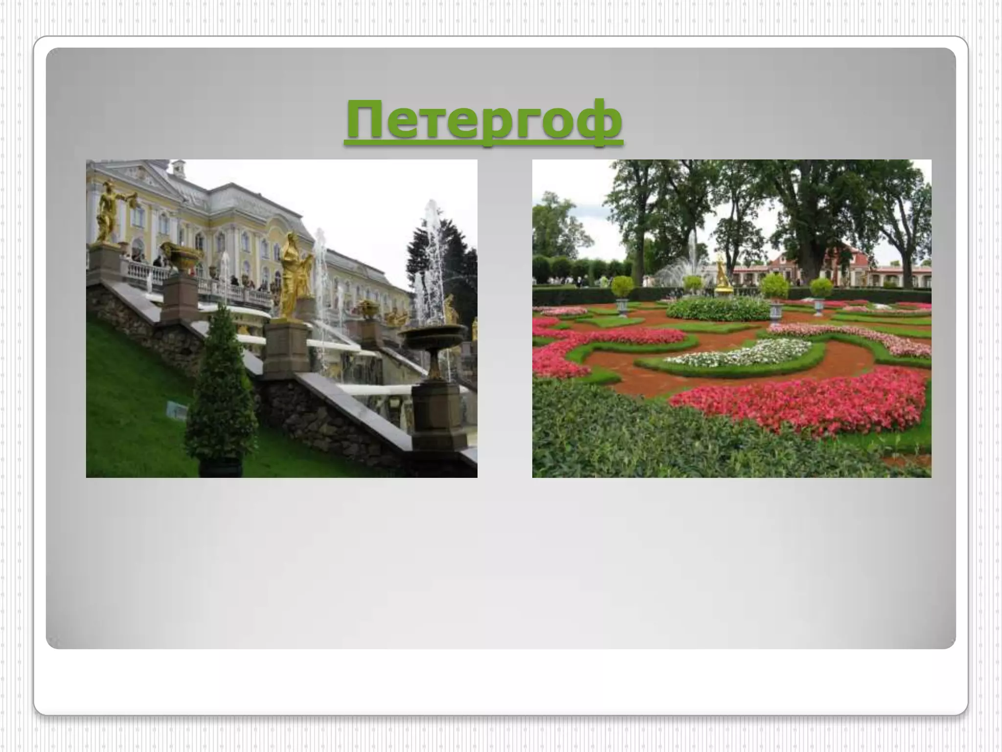 Петергоф
 
