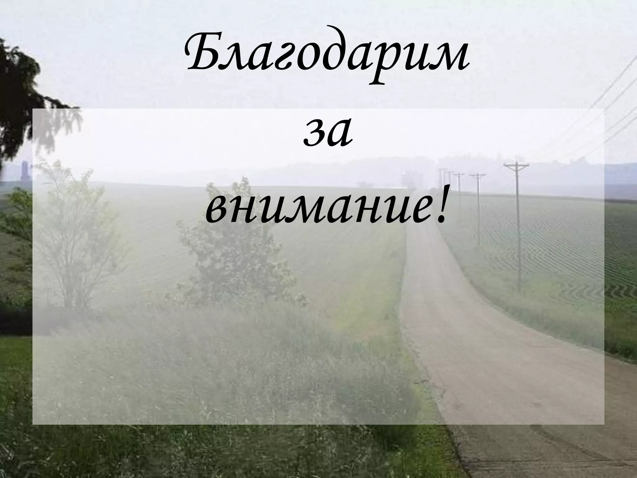 Благодарим
    за
 внимание!
 