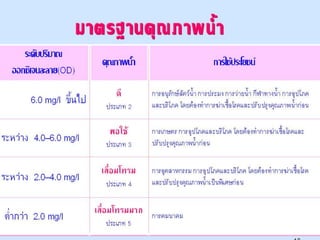 ศักยภาพของลุ่มน้ำแม่กลอง