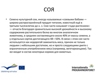 СОЯ
•   Семена культурной сои, иногда называемые «соевыми бобами —
    широко распространённый продукт питания, известный ещё в
    третьем тысячелетии до н. э. Сою часто называют «чудо-растением»
    — отчасти благодаря сравнительно высокой урожайности и высокому
    содержанию растительного белка во многом аналогичном
    животному, в среднем составляющего около 40% от массы семени, а
    у отдельных сортов достигающего 48—50%. В связи с этим соя часто
    используется как недорогой заменитель мяса, причем не только
    людьми с небольшим достатком, но и просто следующими диете с
    ограниченным употреблением мяса (например, вегетарианцами). Так
    же входит в состав некоторых кормов для животных.
 
