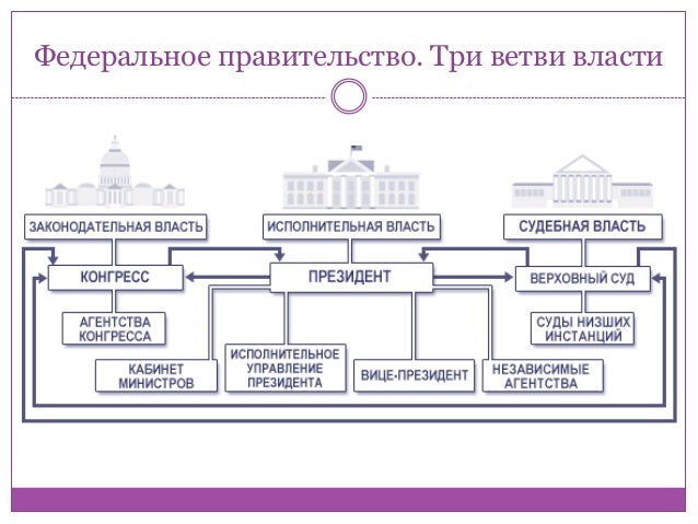 Система сдержек и противовесов схема фото 209