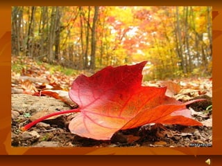 кедрин дмитрий борисович