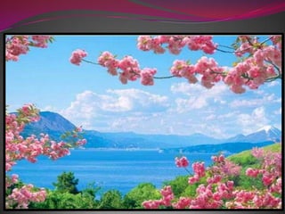 Весна в японском стиле