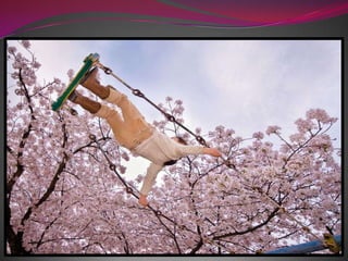 Весна в японском стиле