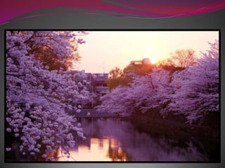 Весна в японском стиле