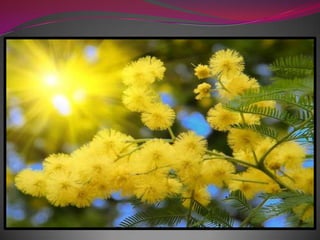 Весна в японском стиле