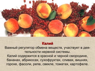 Калий
Важный регулятор обмена веществ, участвует в дея-
           тельности нервной системы.
  Калий содержится в красной и черной смородине,
 бананах, абрикосах, сухофруктах, сливах, вишнях,
 горохе, фасоли, репе, свекле, томатах, картофеле.
 