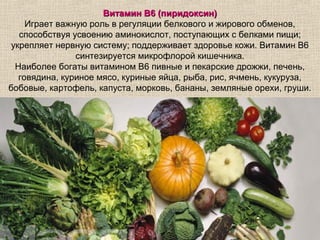 Витамин В6 (пиридоксин)
     Играет важную роль в регуляции белкового и жирового обменов,
   способствуя усвоению аминокислот, поступающих с белками пищи;
 укрепляет нервную систему; поддерживает здоровье кожи. Витамин В6
                синтезируется микрофлорой кишечника.
  Наиболее богаты витамином В6 пивные и пекарские дрожжи, печень,
   говядина, куриное мясо, куриные яйца, рыба, рис, ячмень, кукуруза,
бобовые, картофель, капуста, морковь, бананы, земляные орехи, груши.
 