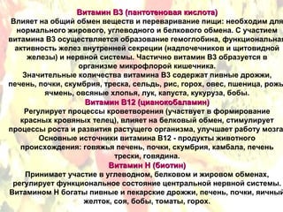 Витамин В3 (пантотеновая кислота)
 Влияет на общий обмен веществ и переваривание пищи: необходим для
  нормального жирового, углеводного и белкового обмена. С участием
витамина В3 осуществляется образование гемоглобина, функциональная
  активность желез внутренней секреции (надпочечников и щитовидной
     железы) и нервной системы. Частично витамин В3 образуется в
                  организме микрофлорой кишечника.
    Значительные количества витамина В3 содержат пивные дрожжи,
печень, почки, скумбрия, треска, сельдь, рис, горох, овес, пшеница, рожь
         ячмень, овсяные хлопья, лук, капуста, кукуруза, бобы.
                    Витамин В12 (цианокобаламин)
    Регулирует процессы кроветворения (участвует в формирование
   красных кровяных телец), влияет на белковый обмен, стимулирует
процессы роста и развития растущего организма, улучшает работу мозга
        Основные источники витамина В12 - продукты животного
   происхождения: говяжья печень, почки, скумбрия, камбала, печень
                           трески, говядина.
                          Витамин Н (биотин)
     Принимает участие в углеводном, белковом и жировом обменах,
 регулирует функциональное состояние центральной нервной системы.
Витамином Н богаты пивные и пекарские дрожжи, печень, почки, яичный
                   желток, соя, бобы, томаты, горох.
 