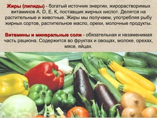 Жиры (липиды) - богатый источник энергии, жирорастворимых
  витаминов А, D, E, К, поставщик жирных кислот. Делятся на
растительные и животные. Жиры мы получаем, употребляя рыбу
жирных сортов, растительное масло, орехи, молочные продукты.

Витамины и минеральные соли - обязательная и незаменимая
часть рациона. Содержится во фруктах и овощах, молоке, орехах,
                        мясе, яйцах.
 