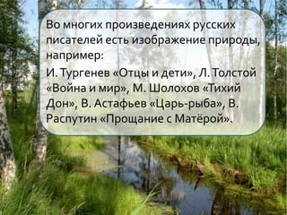 Во многих произведениях русских
писателей есть изображение природы,
например:
И. Тургенев «Отцы и дети», Л. Толстой
«Война и мир», М. Шолохов «Тихий
Дон», В. Астафьев «Царь-рыба», В.
Распутин «Прощание с Матёрой».
 
