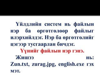 Үйлдлийн систем нь файлын
нэр ба өргөтгөлөөр файлыг
илэрхийлдэг. Нэр ба өргөтгөлийг
цэгээр тусгаарлан бичдэг.
    Үүнийг файлын нэр гэнэ.
  Жишээ                         нь:
Zun.txt, zurag.jpg, english.exe гэх
мэт.
 