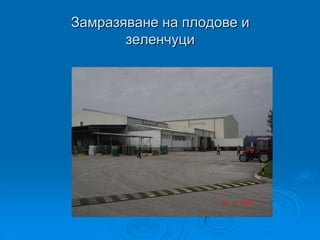 Замразяване на плодове и
       зеленчуци
 