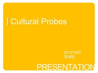 Cultural Probes


              20121625
              장혜민


      PRESENTATION
 