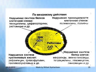 28.10.2012   Made by Mirbek Nyshanbaev   28
 