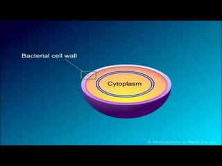 28.10.2012   Made by Mirbek Nyshanbaev   35
 