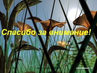 Спасибо за внимание!



 28.10.2012   Made by Mirbek Nyshanbaev   70
 