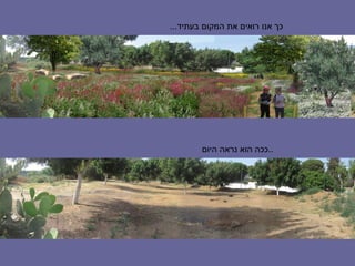 ‫כך אנו רואים את המקום בעתיד...‬




        ‫..ככה הוא נראה היום‬
 