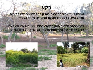 ‫רקע‬
‫שכונת מעוז אביב התברכה במגוון מרחבים ציבוריים פתוחים,‬      ‫•‬
      ‫חלקם שייכים לבניינים וחלקם מטופלים על ידי העירייה.‬

‫לפני מספר שנים הופסק הריסוס בחלק משטחים אלו ומאז אנו‬       ‫•‬
 ‫עדים לחזרה של מיני צומח לשטח - בעיקר מינים דומיננטיים.‬
 