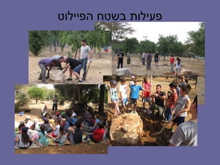 ‫פעילות בשטח הפיילוט‬
 