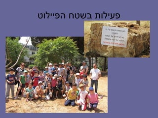 ‫פעילות בשטח הפיילוט‬
 