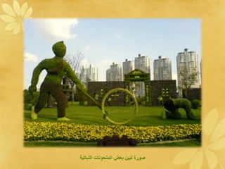 ‫ا ةلعنقو ات ةلن ا دي‬   ‫صو ع د‬
 